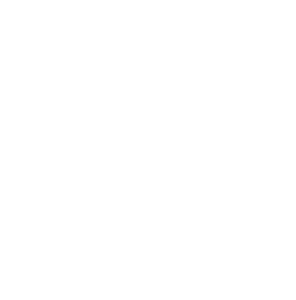 Bigredbus websites powered by WordPress